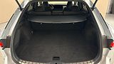 Lexus RX 500h AUT 4x4 F Sport - náhled 17