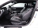 Ford Mustang 5,0 5.0 TI-VCT 324kW V8 GT CZ - náhled 10