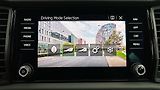 Škoda Kodiaq 2.0 TDI DSG 4x4 Sportline - náhled 29