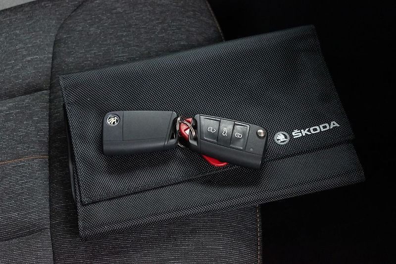 Škoda Kamiq 1.5TSI DSG*STYLE*ACC*KAMERA*ČR - fotka 34 z 42