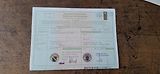 Mazda 2 - náhled 1