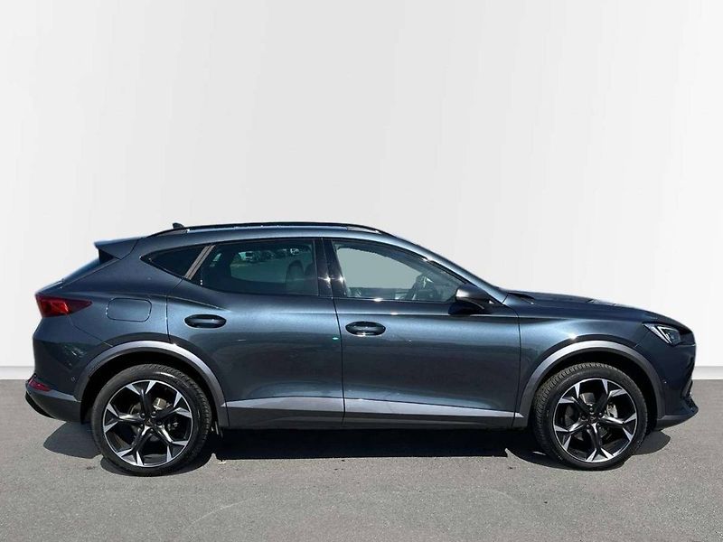 Cupra Formentor (2024) 2.0 TSI 140 kW DSG 4Drive - fotka 9 z 20