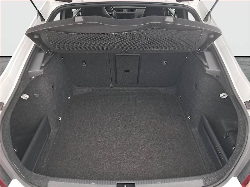 Škoda Octavia (2017) RS 230 2.0 TSI, Tempomat - fotka 14 z 22