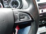 Škoda Octavia (2019) III 1.6 TDi ČR - náhled 10