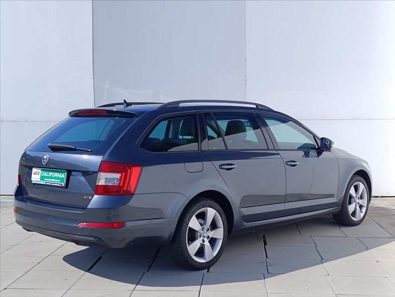 Škoda Octavia 1,6 TDi 4x4 Navi,Kůže,Aut.klim - fotka 6 z 36
