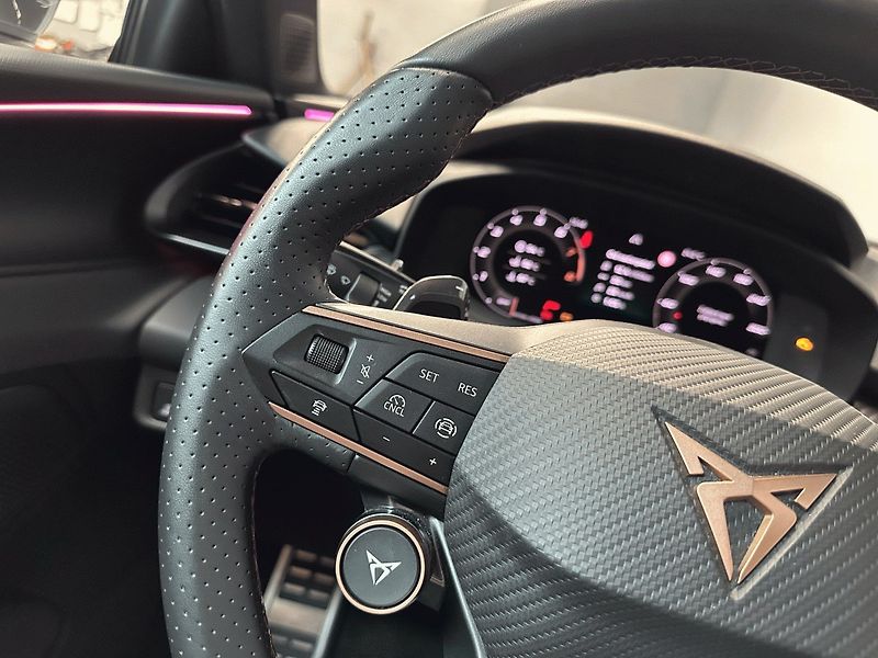 Cupra Terramar (2025) 2.0 TSI 265k 4WD DSG *HD MTRX* - fotka 18 z 25