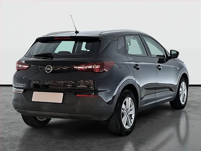Opel Grandland X (2020) 1.2 Turbo, ČR,1.maj, Tempomat - fotka 5 z 16