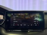 Škoda Octavia 2.0 TSI 180KW DSG RS, HUD, WEB - náhled 20