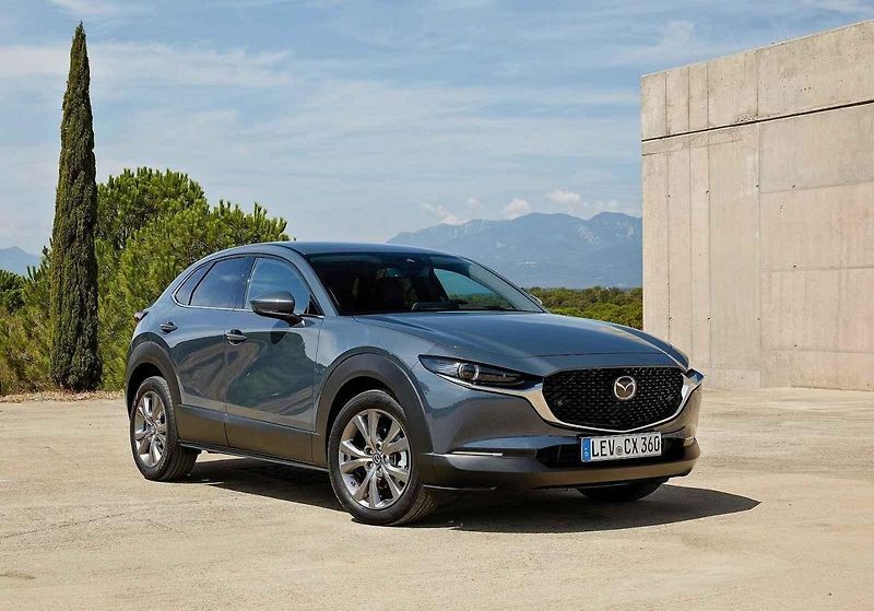 Dacia Sandero Stepway - překvapivý vítěz