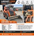 Locust (2002) Locust 1203 - náhled 1