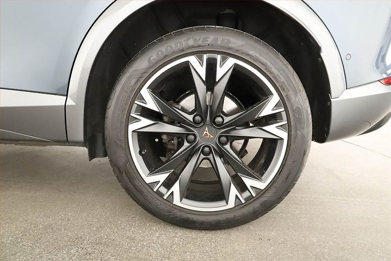 Cupra Formentor (2021) 2.0 TSI 4Drive - fotka 12 z 18