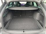 Škoda Octavia 2,0 TSi - náhled 23