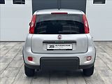 Fiat Panda 1,3 JTD 75PS  Pop 4x4 - náhled 8