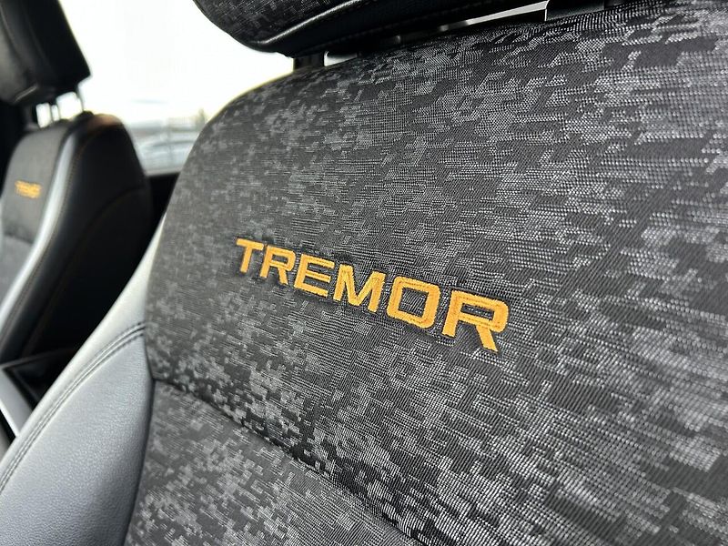 Ford F-150 TREMOR - fotka 35 z 42
