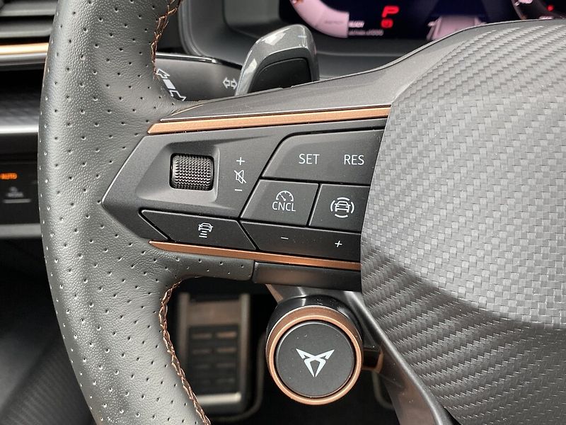 Cupra Formentor 1,5 E-TSI 110 kW DSG - fotka 13 z 26