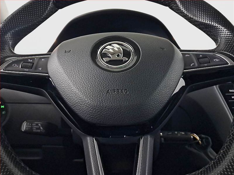 Škoda Octavia (2018) 2.0 TDI 4x4, 4X4, Automat - fotka 15 z 17
