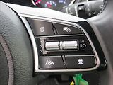 Kia Ceed 1,5 T-GDI 118kW SW Top AUT ČR - náhled 22