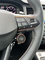 Cupra Ateca VZ 2.0TSI DSG 221kW 1.Maj DPH - náhled 12