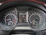 Škoda Octavia (2013) RS 2.0 TDI, Automat, Navi - náhled 11