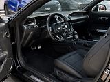 Ford Mustang 5,0 GT V8 330kW 55YearsEdition - náhled 15