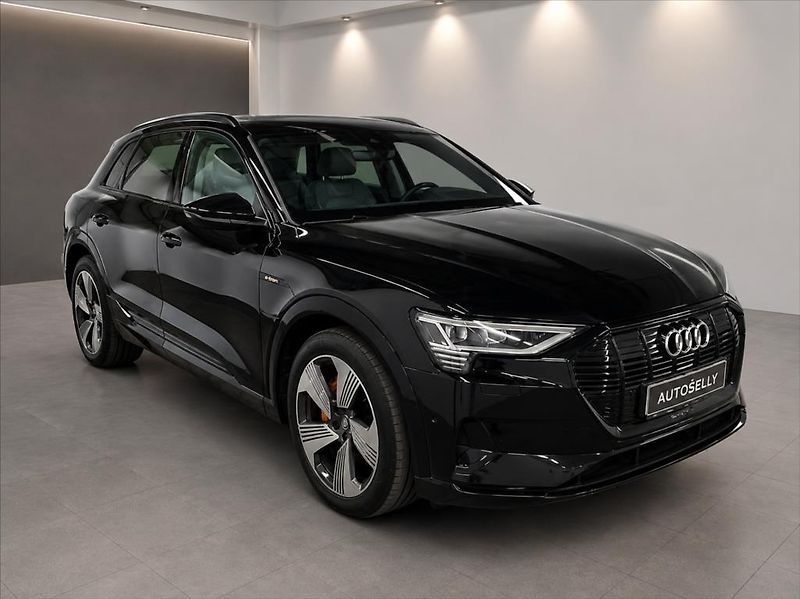 Audi e-tron 50 Quattro Proline Limited - fotka 3 z 9
