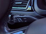 Škoda Rapid 1.4 TSi Elegance DSG, 1.Maj - náhled 22