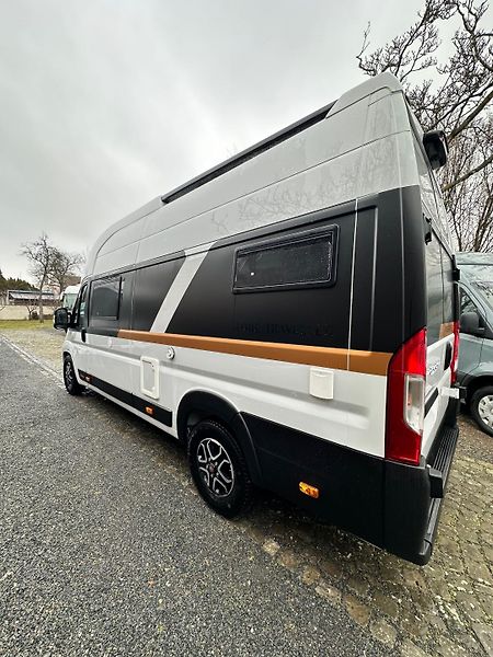 Globe-Traveller (2025) Pathfinder Z-bike - fotka 6 z 24