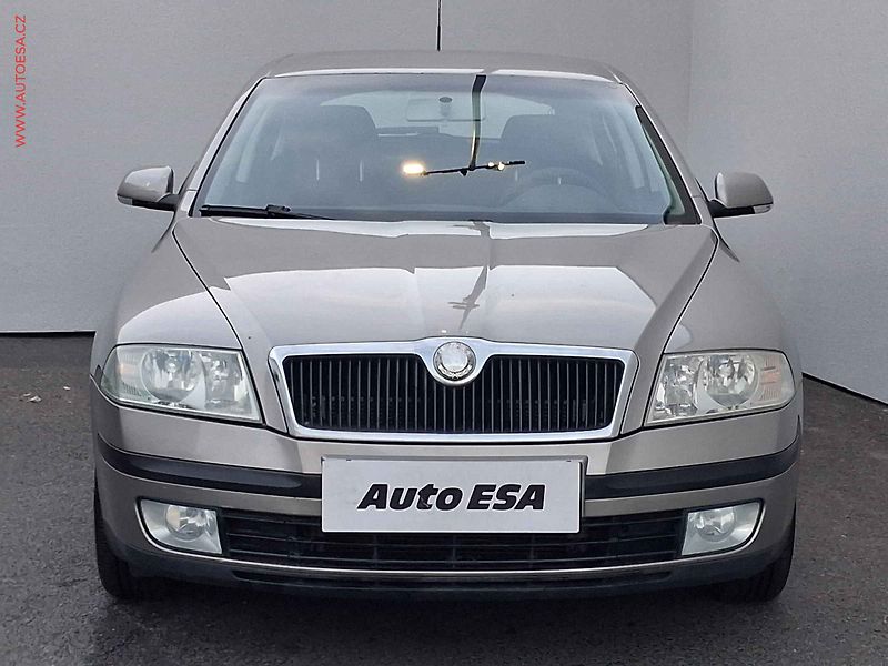 Škoda Octavia (2009) 1.9 TDi, ČR, Elegance, AC - fotka 2 z 16