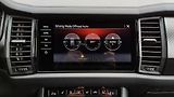 Škoda Kodiaq SPORTLINE TDI 147kW WEBASTO-ČR - náhled 41