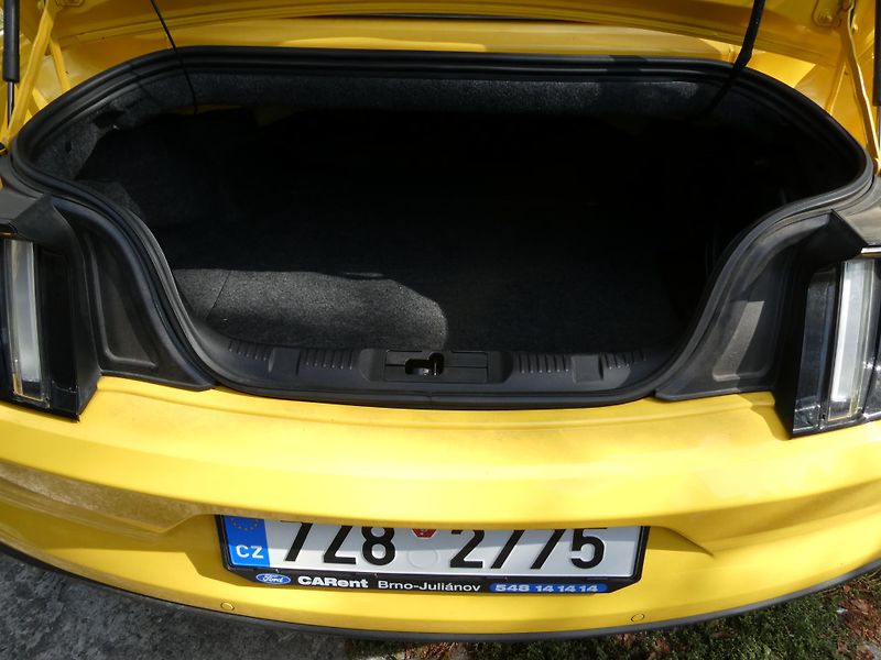 Ford Mustang (2015) kabriolet - fotka 17 z 36