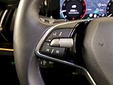 Škoda Kodiaq (2024) 2.0 TDI 142 kW DSG 4x4 Selecti - náhled 8