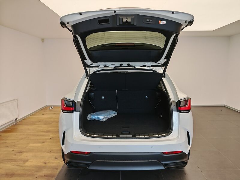 Lexus NX 450h plus 450h+ PRESTIGE - fotka 13 z 46
