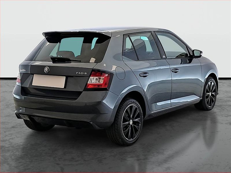 Škoda Fabia (2017) Monte Carlo 1.2 TSI - fotka 5 z 22