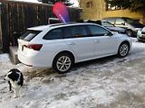 Škoda Octavia (2020) 2.0 TDI 110kW DSG ACC MATRIX - náhled 10