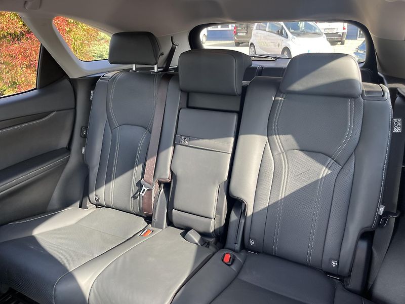 Lexus RX 450h (2021) 3.5 LIMITED EDITION - fotka 9 z 25