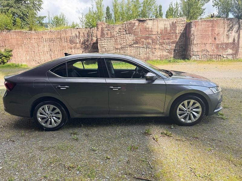 Škoda Octavia (2024) Style Plus 2,0 TDI 110 KW AUT - fotka 6 z 18