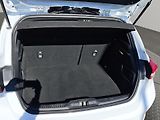 Ford Focus (2019) ST-Line, ČR, 1.majitel, SERVIS - náhled 17