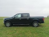 Ford F-150 (2015) - náhled 1