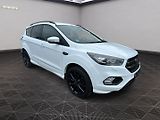 Ford Kuga (2019) 1,5EcoBoost 110KW  ST-Line - náhled 1