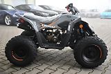 Linhai Ostatní (2026) ATV 110 2X4 EFI CE  - náhled 7