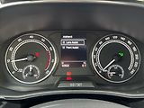 Škoda Fabia 1,0 TSi 81kW 7DSG STYLE  IV. - náhled 16