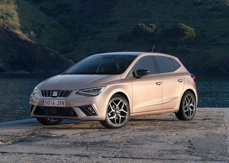 Výhodně koupíte třeba Dacii Duster, která na podzim plošně zlevnila o 15 tisíc korun.