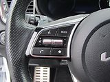 Kia Ceed (2022) 1.5 T-GDi, ČR, GT Line, AT - náhled 17
