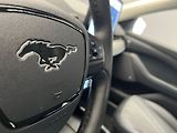Ford Mustang Mach-E SoH 94,5 %, po servisní prohlí - náhled 20