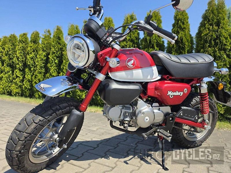 Honda Monkey (2020) - fotka 6 z 11
