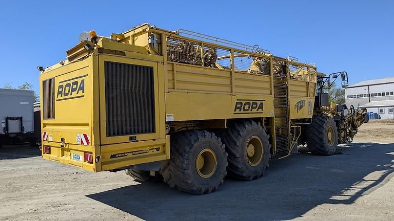 Ostatní (2012) ROPA TIGER V8-3 beet harvester - fotka 5 z 22