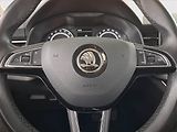 Škoda Scala (2019) 1.6 TDI, Tempomat - náhled 17