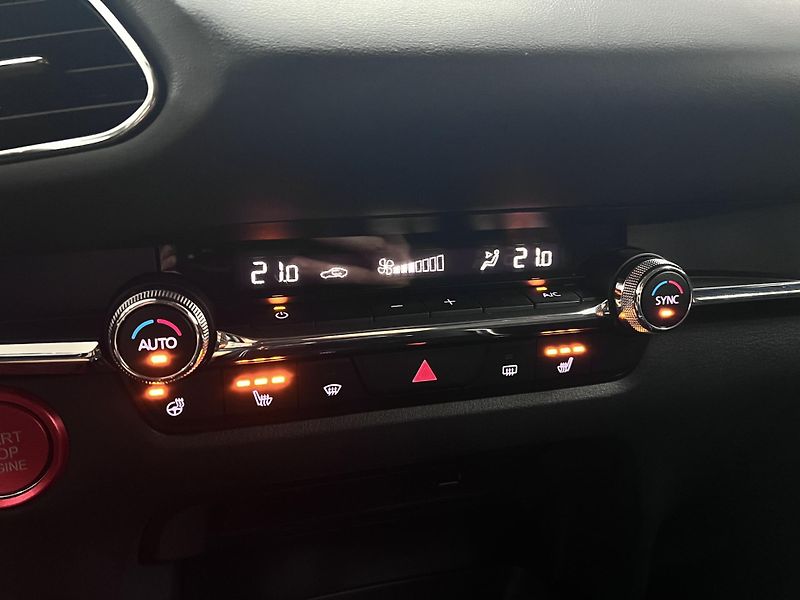 Mazda CX-30 2.0i Skyactiv-G 110 kW Bose - fotka 38 z 38
