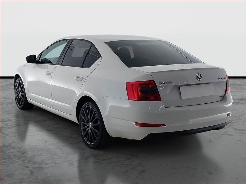 Škoda Octavia (2015) 2.0 TDI 4x4, 4X4, Xenony - fotka 4 z 19