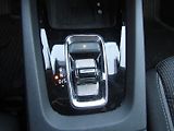 Škoda Octavia (2020) 2.0 TDI 110kW DSG ACC MATRIX - náhled 39